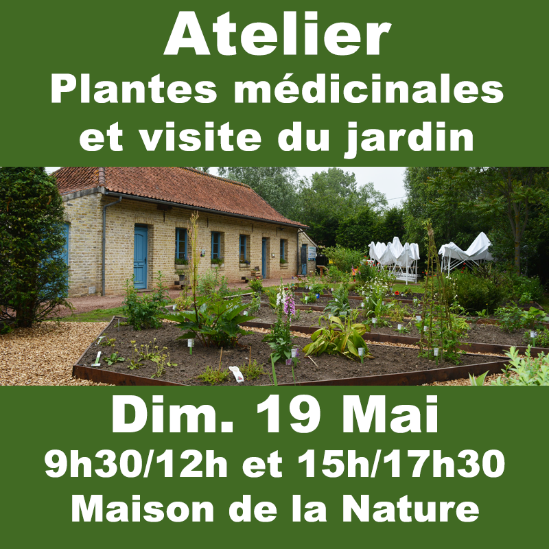 AtelierPlantes19