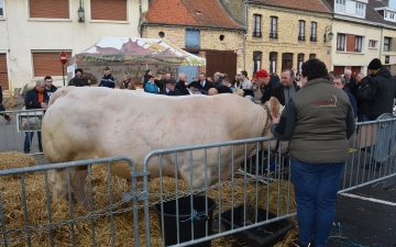 Concours agricole de 2018_7