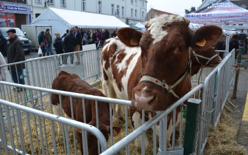 Concours agricole de 2018_8