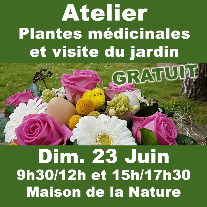 AtelierPlantes2019