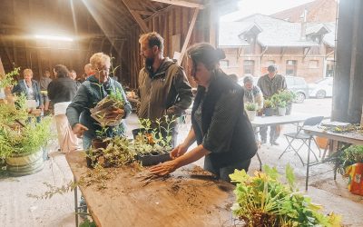 RETOUR SUR LE TROC AUX PLANTES